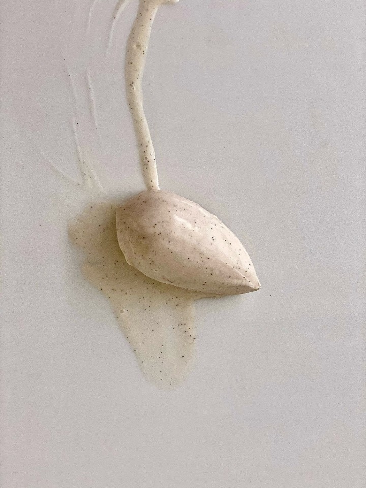 Vanilla Bean Gelato