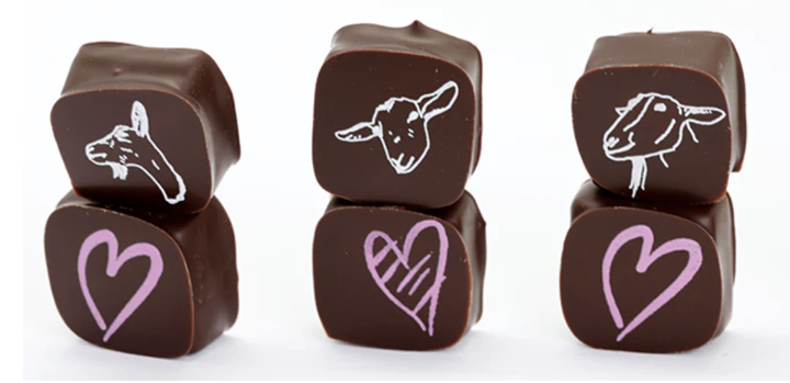 Big Picture Farm Chocolate Covered Goat Milk Caramels