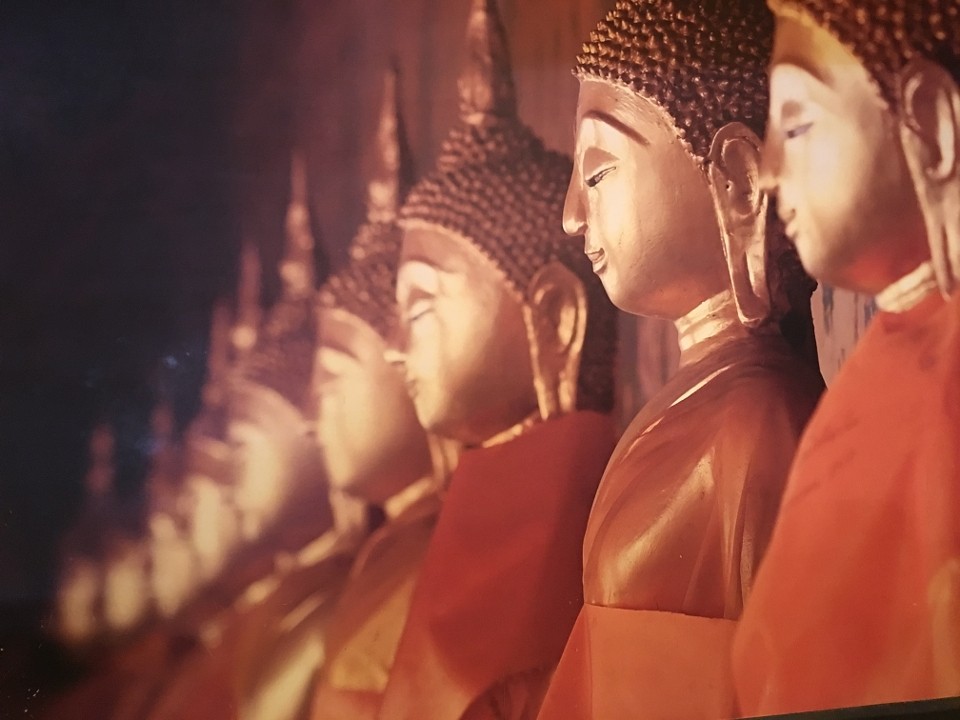 Spices Asian Restaurant And Sushi Bar 3333 Connecticut Ave NW STE A