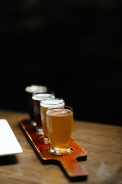 The Hoppy Gnome