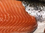 Salmon Atlantic 8.5 oz Portion Mkt