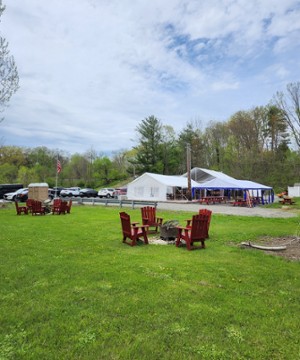 GREENBUSH SALSA LATINA