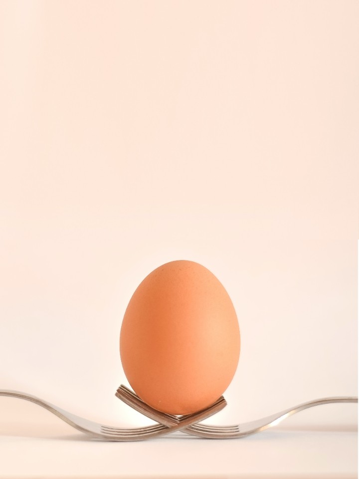 Extra Egg