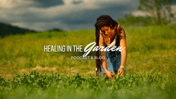 Healing In The Garden 3737 Main Street