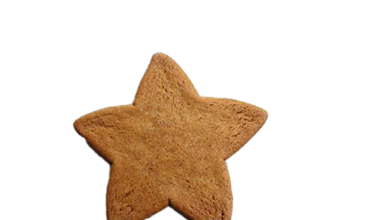 Ginger Star
