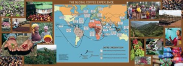 Frappe Joe Coffee Roasters The Shoppes at Colonial Village
