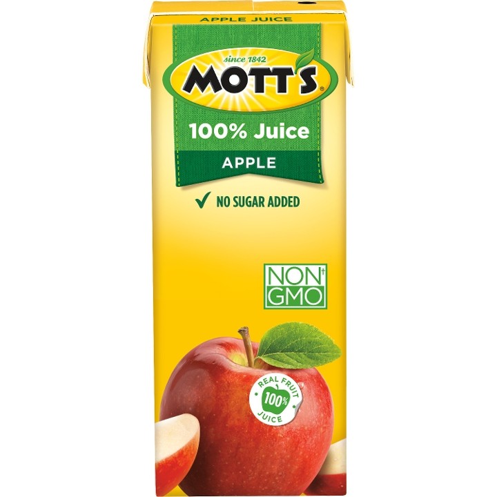 Kids Apple Juice (Mott's)