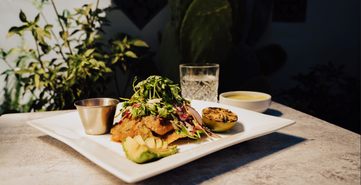 WILD HALIBUT TOSTADA (NEW ITEM)