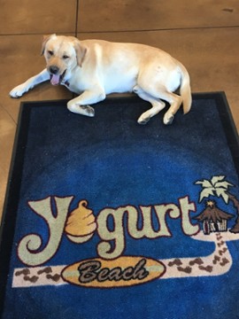 Yogurt Beach - Fernley 1030 Inglewood Dr