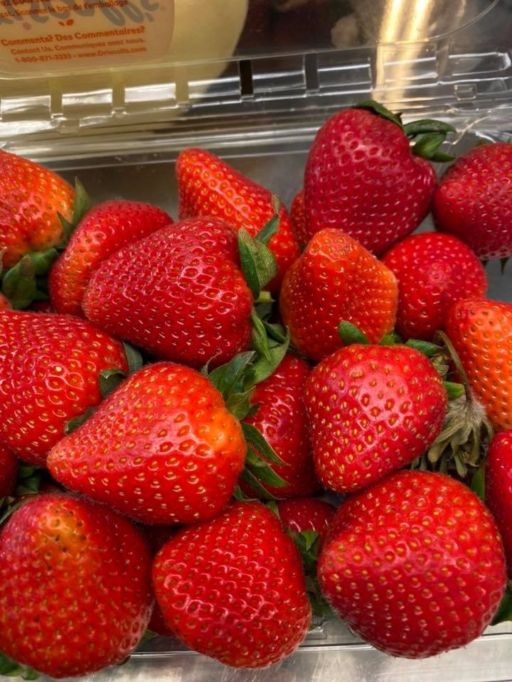 Strawberries 6 for $1.00
