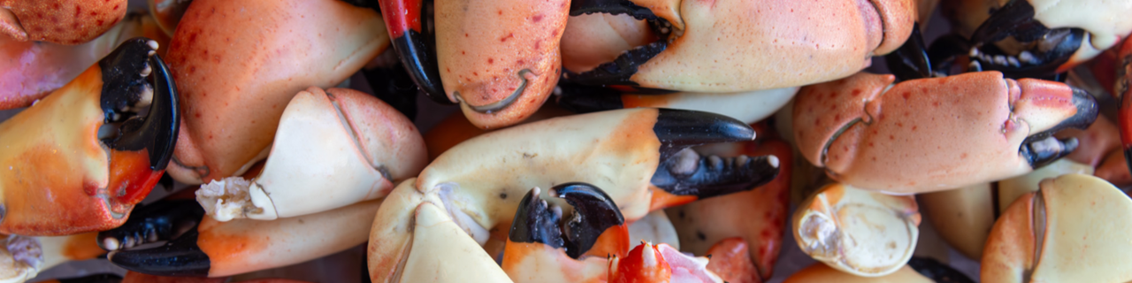 Claw & Hammer 527 Thames St.