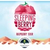 MiddleCoast Sleeping Berry Sour 32oz 5.5%