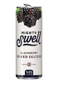 Mighty Swell Blackberry Seltzer 12oz can