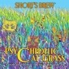 Short's Psychedelic Cat Grass 32oz 7.6%