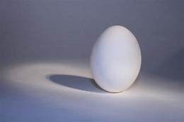 One Egg