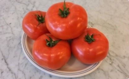 Tomato