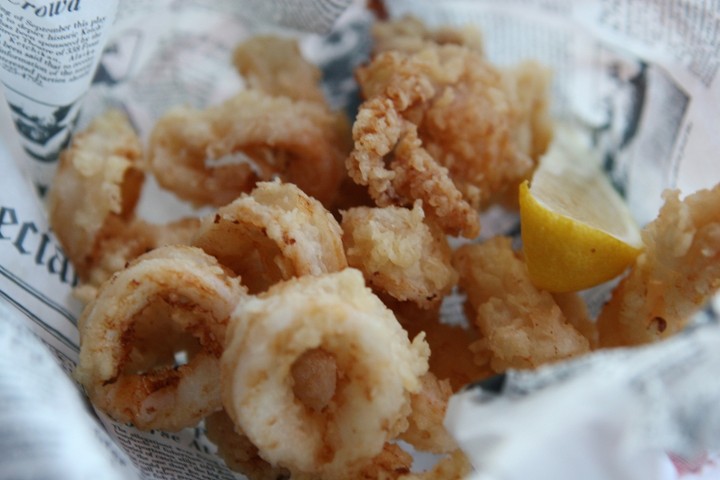 Fried Calamari