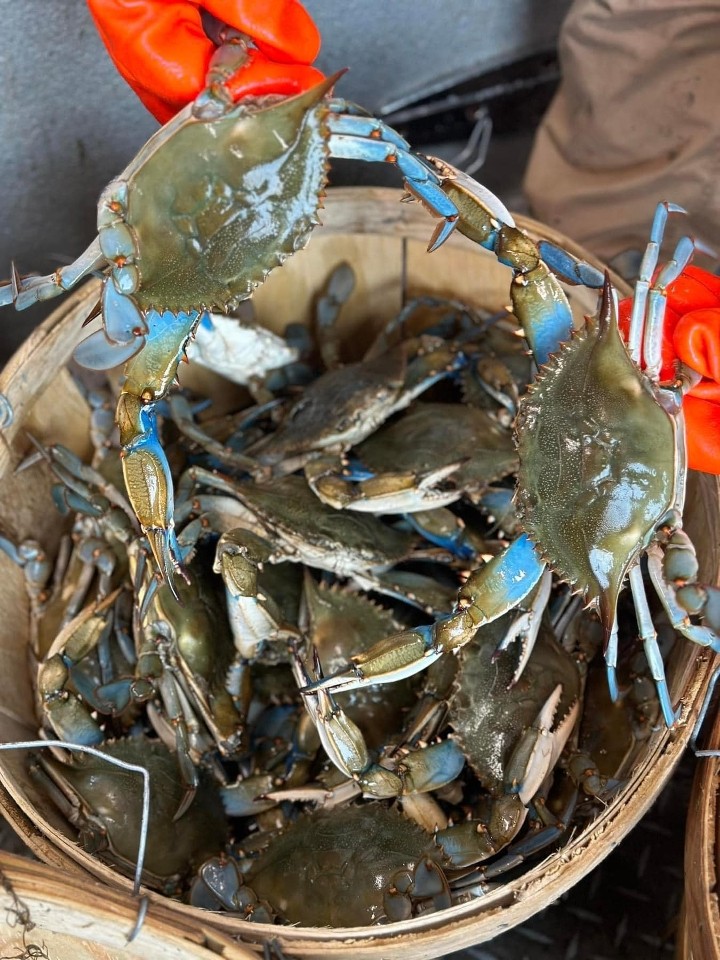 Salty Brits Seafood Market