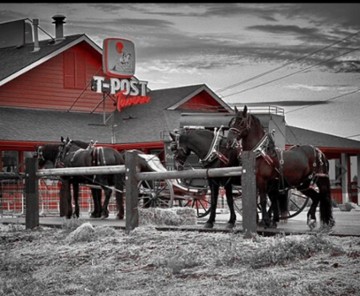T-Post Tavern