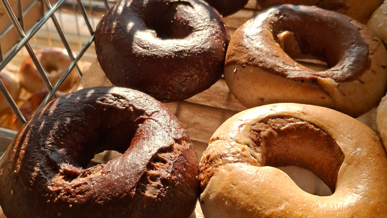 Wam Bam Bagels (a part of the Bagel Station family)