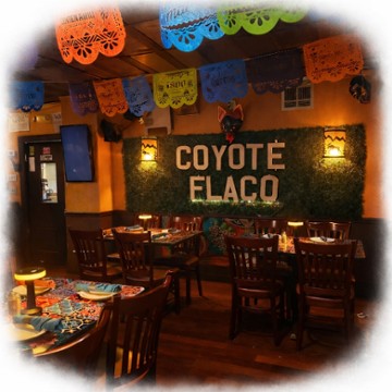 Coyote Flaco