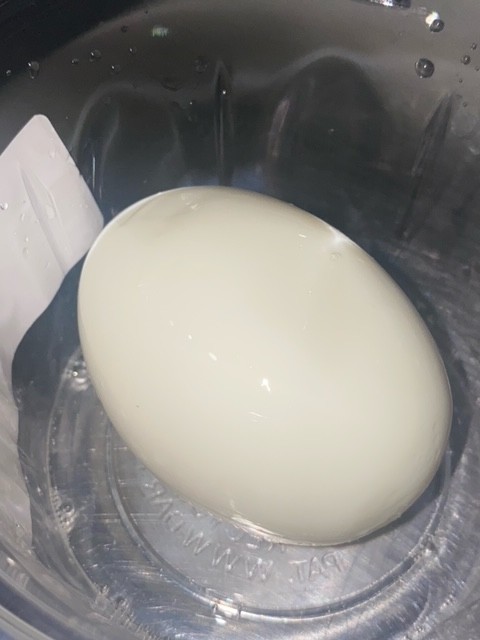Hard Boiled Egg (2)