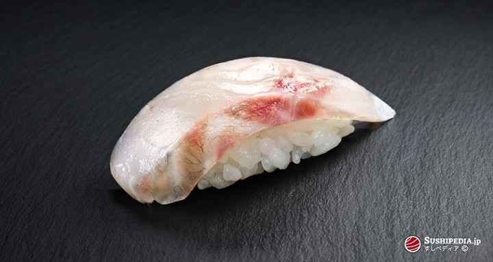 Sea bass nigiri