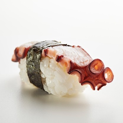 Octopus nigiri