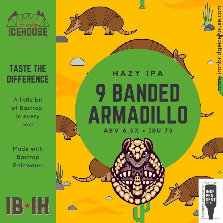 9 Banded Armadillo - IB*IH - 11