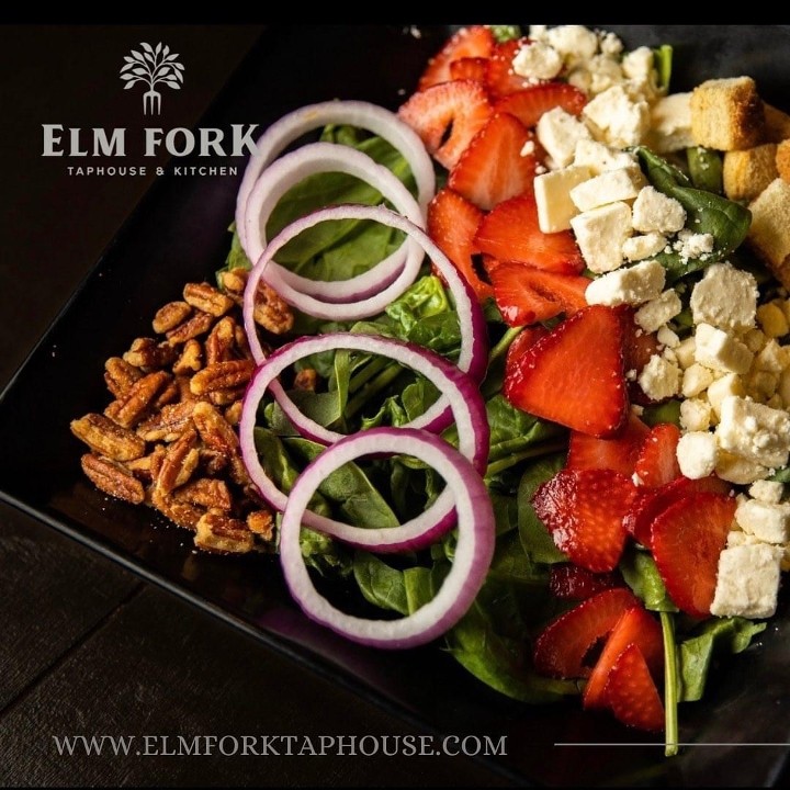 Elm Fork  Salad