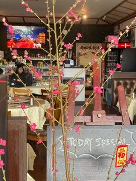 Spicy Szechuan and Pho 1301 San Pablo Avenue