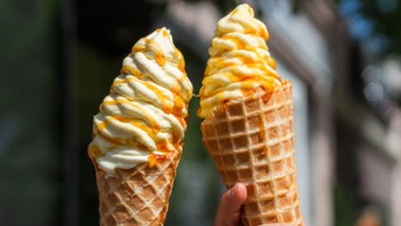 Far Out Ice Cream - Chestnut Hill Far Out Ice Cream - Chestnut Hill