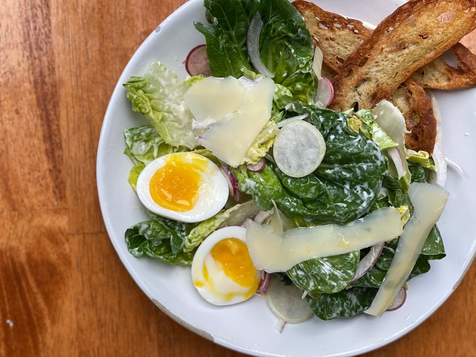 Baby Gem Caesar Salad