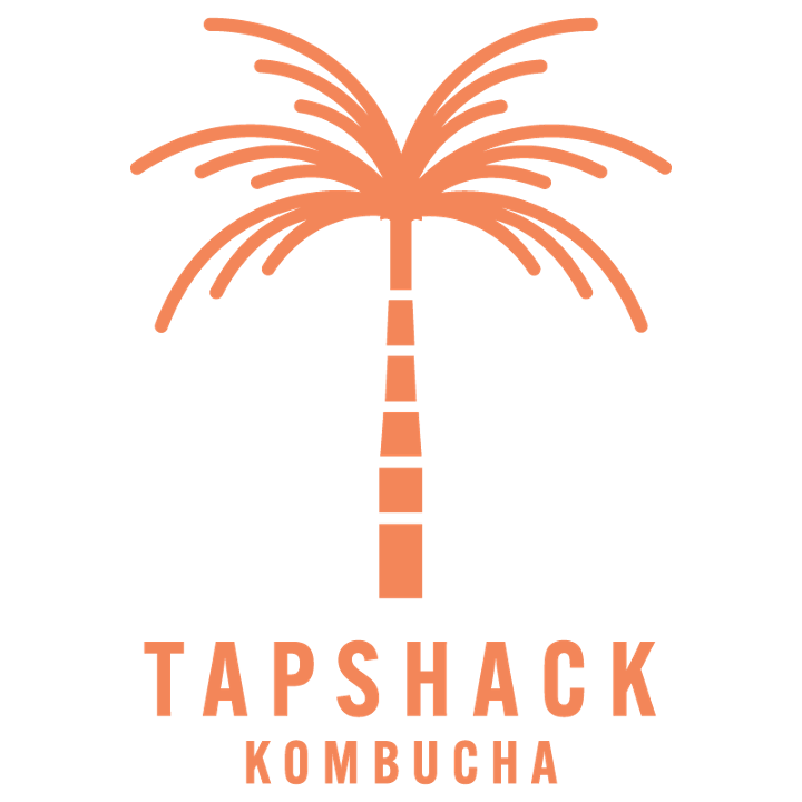 TapShack Non-Alcoholic Kombucha 13oz-Tropic Thunder