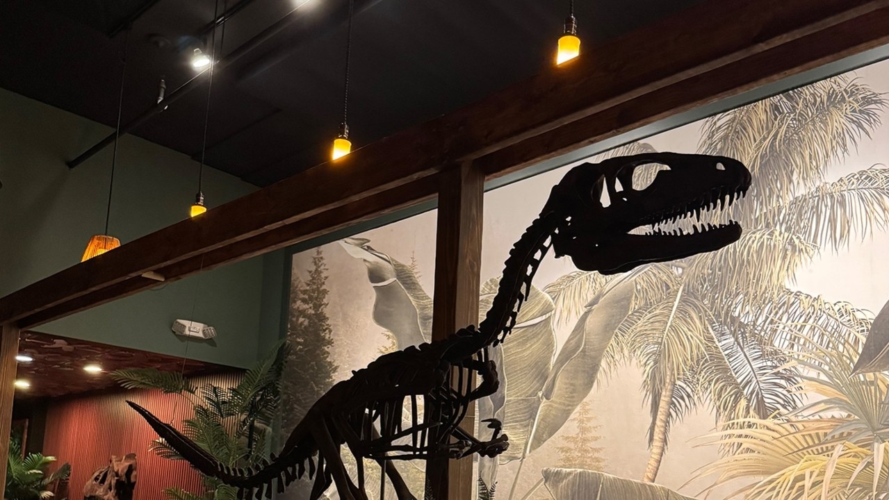 Mesozoic Nashua, NH