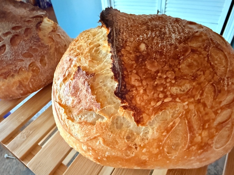 Rise & Shine Bread Co. 5612 Susan Dr