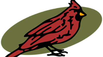 Schaefer’s