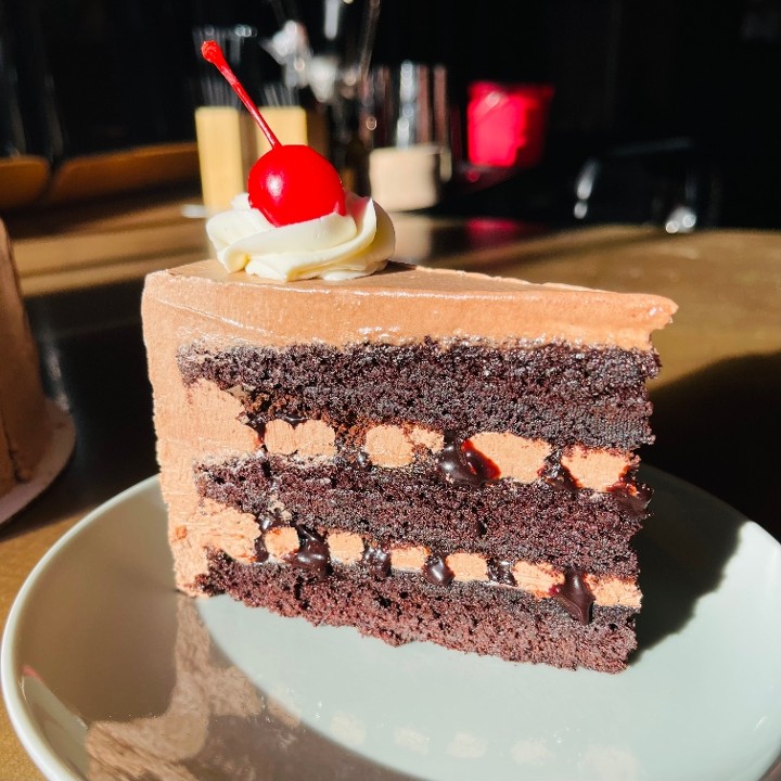 Chocolate Malt Cake - SLICE
