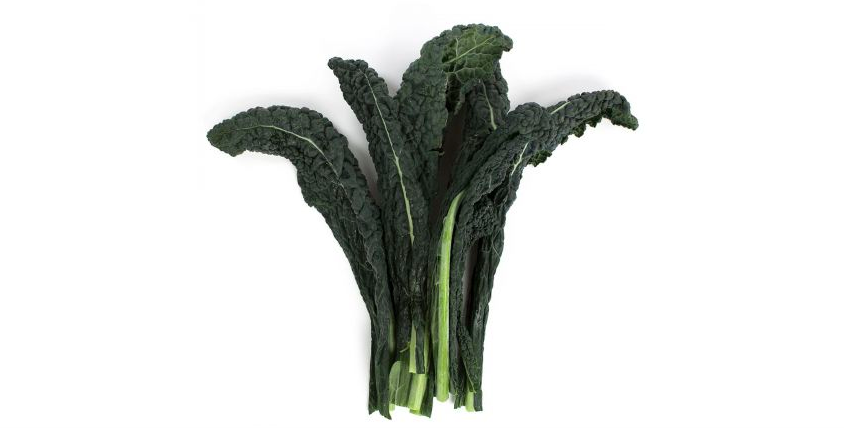Organic Lacinto Kale