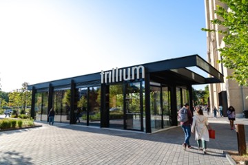 Trillium Brewing - Fenway