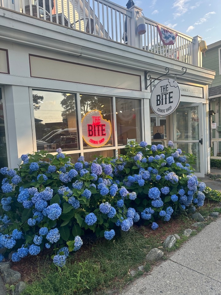 The Sweet Bite-new