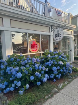 The Sweet Bite-new