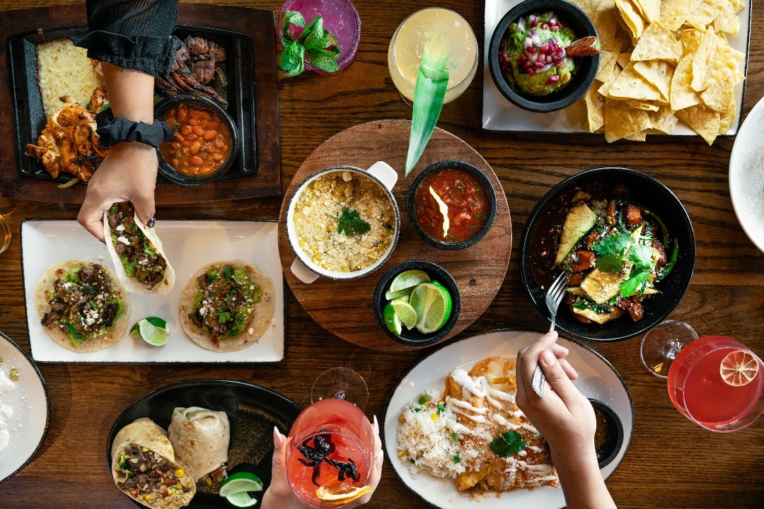 Salt Tacos y Tequila - San Tan 2206 E Williams Field Rd #101,