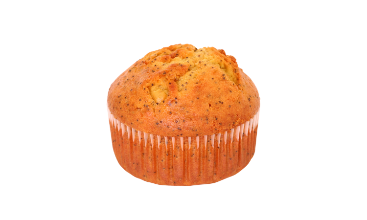 Poppyseed Muffin