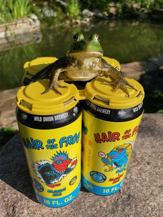 Hair Of The Frog (4-pack)