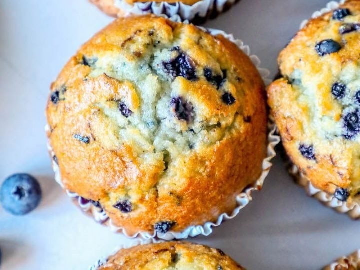 BlueBerry Muffin