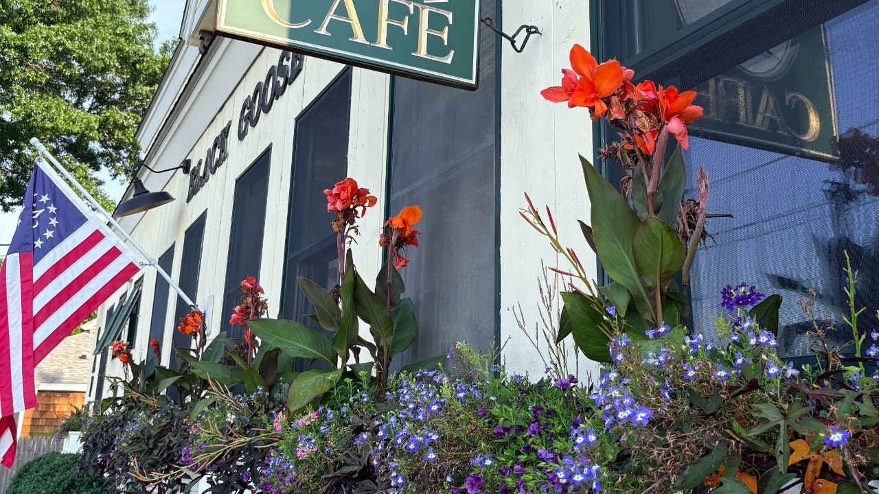 Black Goose Cafe