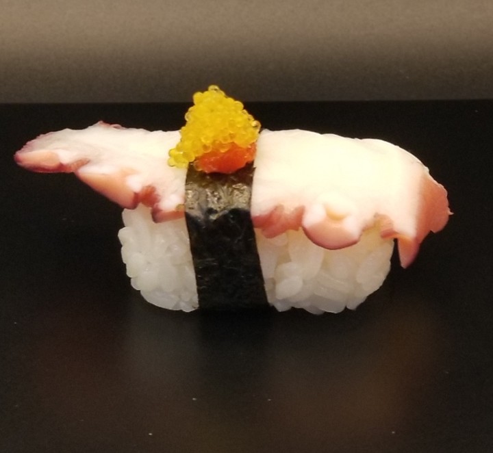 OCTOPUS NIGIRI