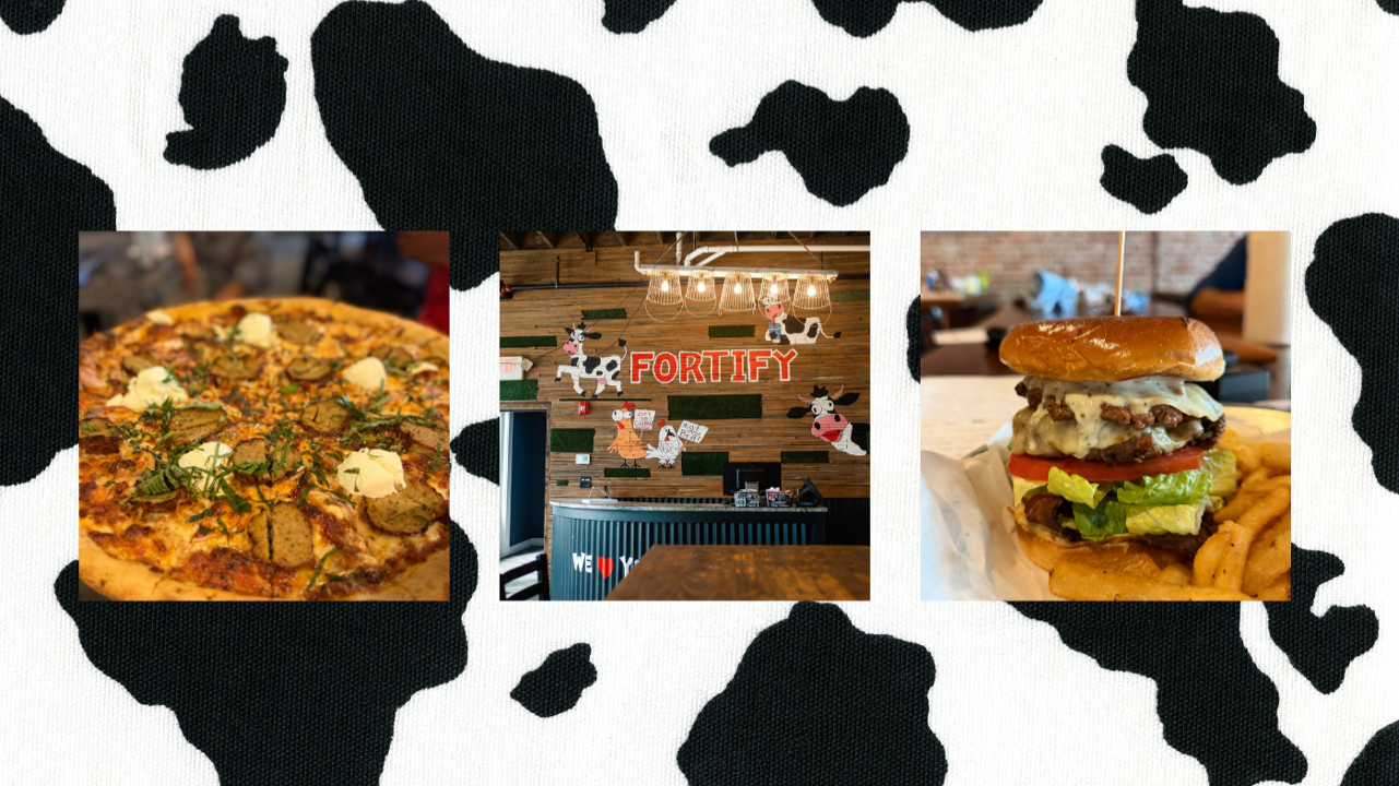 Fortify Pizza and Burger Bar - Valdosta Fortify Pizza and Burger Bar Valdosta