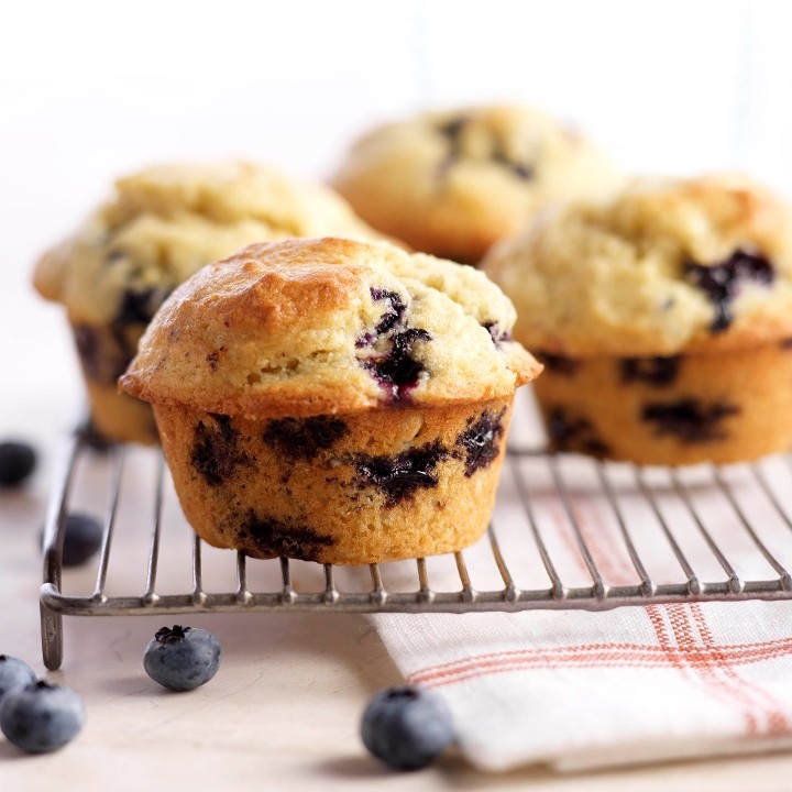 Blueberry Muffin ( Large )